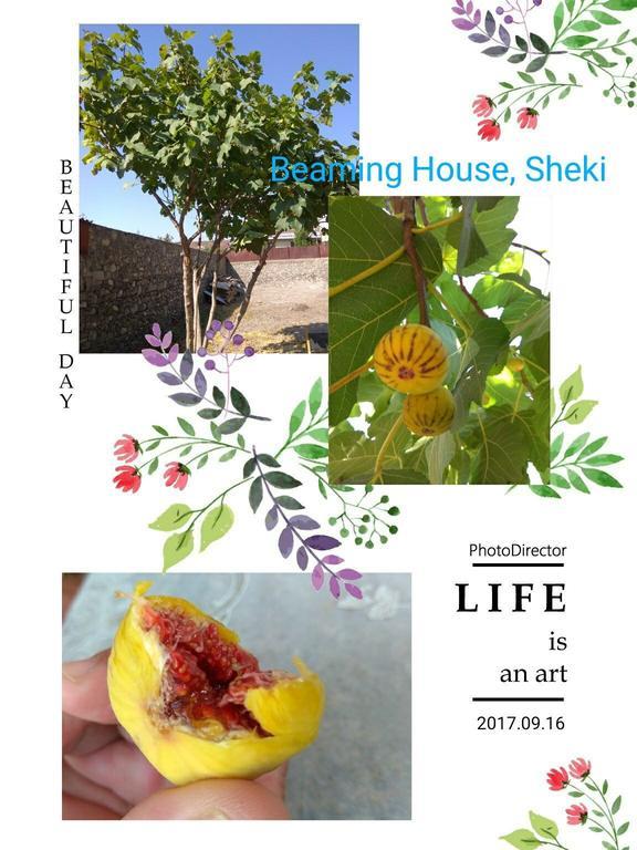 Beaming_House Hotell Şǝki Eksteriør bilde